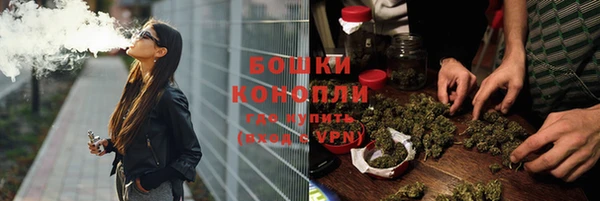 дурь Козельск