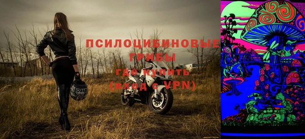 дурь Козельск