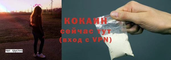 сатива Кодинск