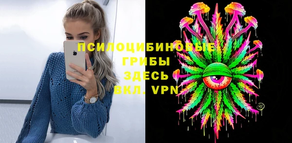дурь Козельск