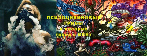 дурь Козловка