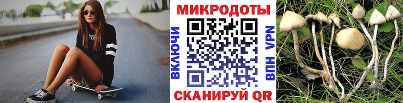 Псилоцибиновые грибы Cubensis Купить Сунжа