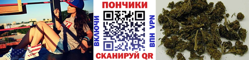 Купить  Сунжа  Марихуана индика 